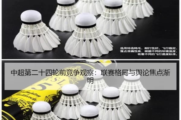 中超第二十四轮前竞争观察：联赛格局与舆论焦点渐明